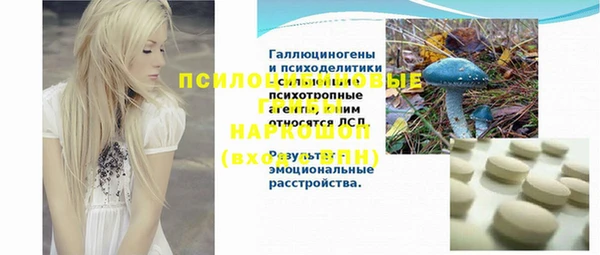 крисы Абинск