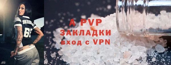трава Коряжма