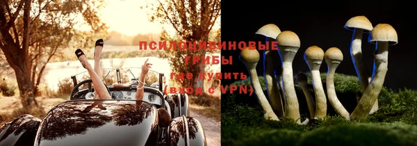 дурь Корсаков