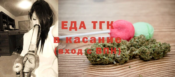 индика Абаза