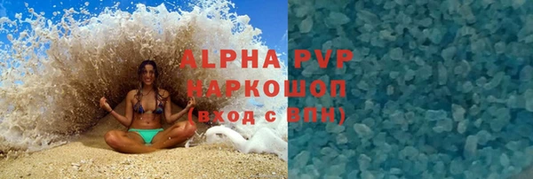 трава Коряжма