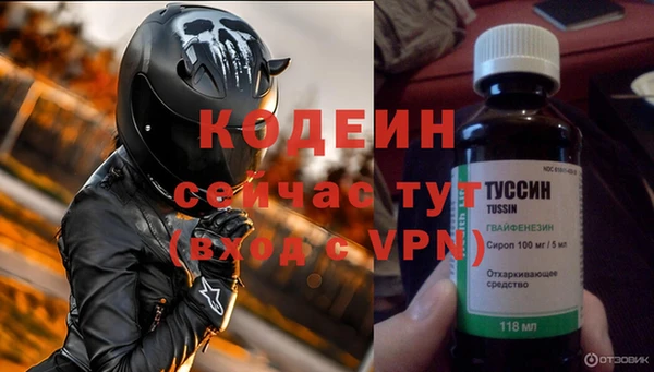 трава Коряжма