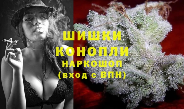 индика Абаза