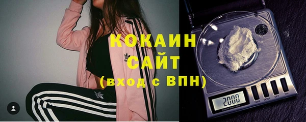 трава Коряжма