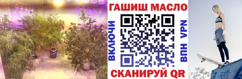 ТГК вейп с тгк  МЕГА вход  Скопин  что такое наркотик 