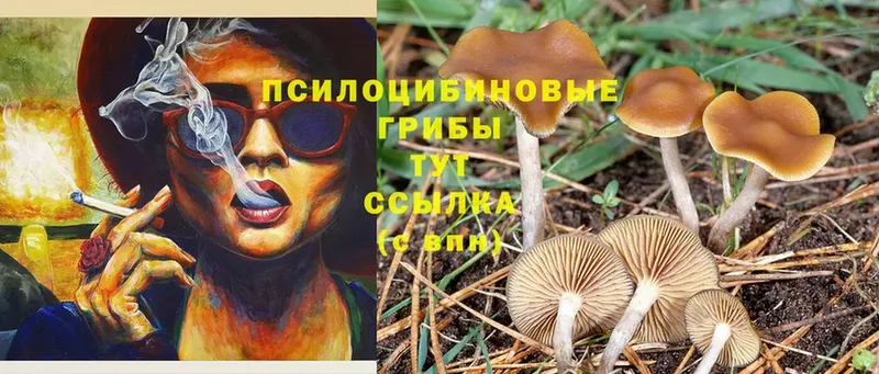 Псилоцибиновые грибы Magic Shrooms  блэк спрут рабочий сайт  Скопин  купить наркоту 