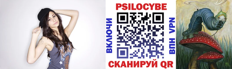 где купить   Скопин  Галлюциногенные грибы Psilocybine cubensis 