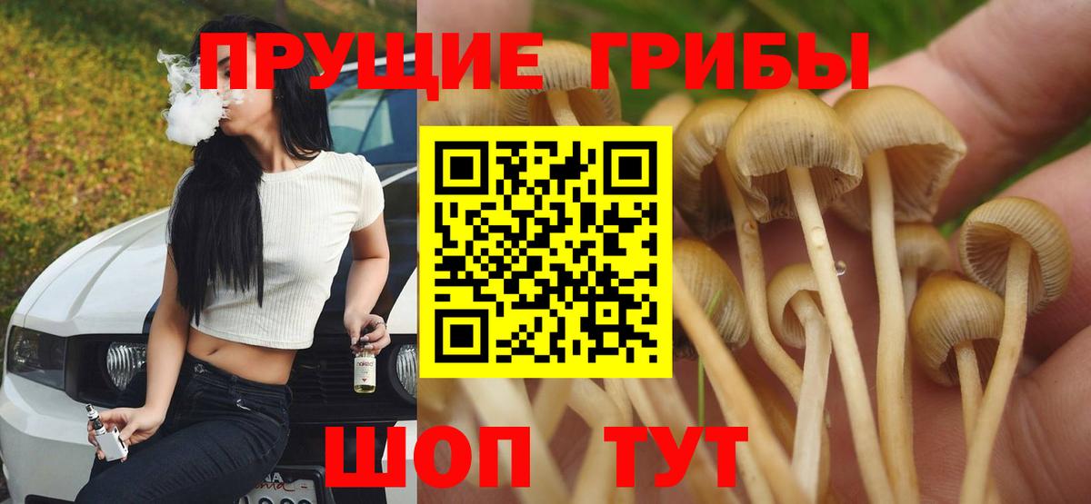 Галлюциногенные грибы Psilocybe  Вход с VPN  Скопин 